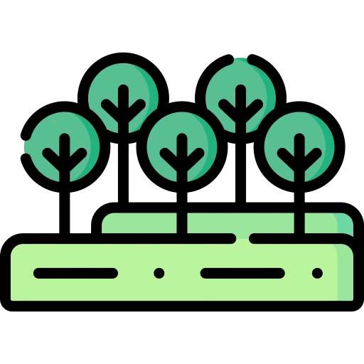 avenu plantation vng